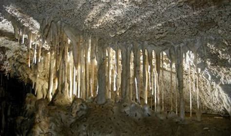 Travel Blog: Oregon Caves National Monument & Preserve (U.S. National ...