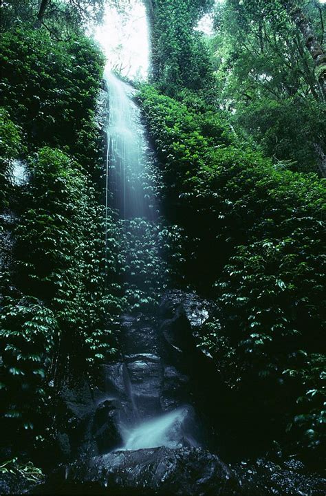 Bunya Mountains Waterfall | A water fall at the Bunya Mounta… | Flickr