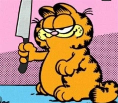 Pinterest | Garfield pictures, Garfield images, Garfield cat