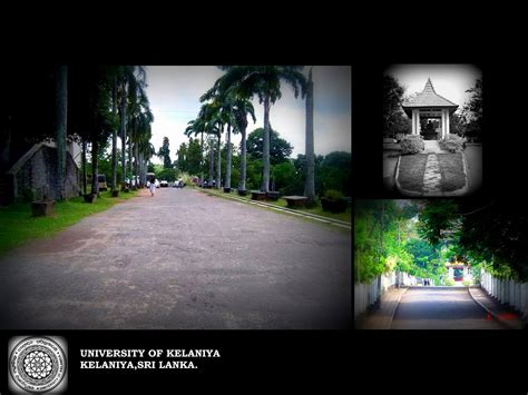 University of Kelaniya. - Posts | Facebook