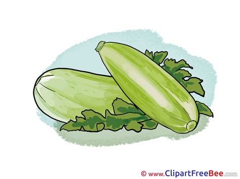 Zucchini free Cliparts for download