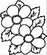 Flower Coloring Page Wecoloringpage 050  Wecoloringpagecom sketch template