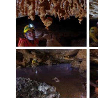 Examples of speleothems, biofilm, and microbial mats collected from ...