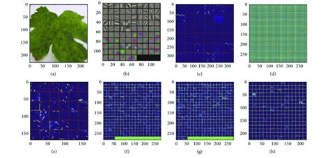 Visualization of features in trained classification model. | Download ...