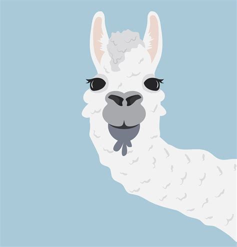 Llama Head