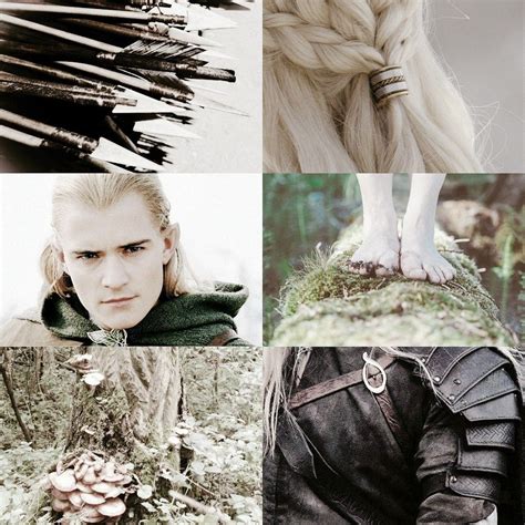 Legolas aesthetic | Lotr legolas, Legolas, Mirkwood elves