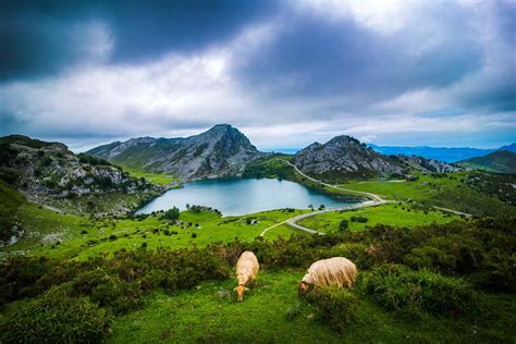 Lagos de Covadonga - Your COMPLETE Travel Guide (+free map)