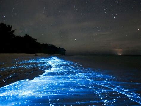 10 Places You Have to See to Believe | Romantic places, Most romantic places, Sea of stars