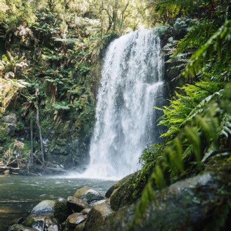 10 Best Walks on the Great Ocean Road - Beyond Wild Places