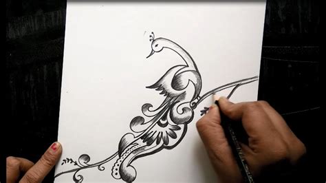 Free hand peacock design with pencil for beginners - YouTube