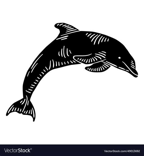 Swimming dolphin cut-out Royalty Free Vector Image