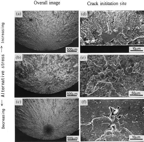 Fatigue fracture surfaces classified according to the magnitude of... | Download Scientific Diagram