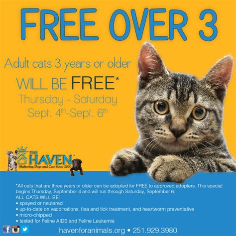 The Haven holds Adoption at Pet Supermarket - The Haven No-Kill Animal Shelter