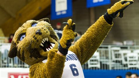 Wildcats are the 4th most common Division I mascot - VU Hoops