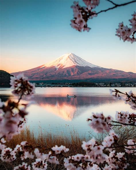 Mount Fuji framed by cherry blossoms : r/MostBeautiful