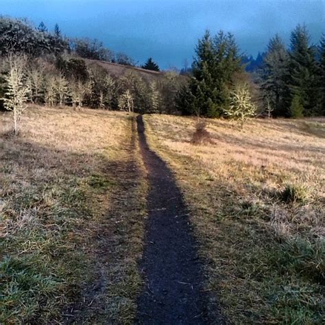 Oregon Runs / Timberhill Natural Area