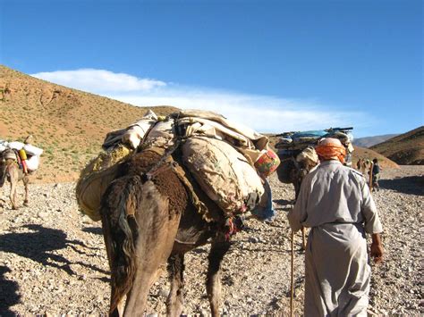 Trekking with nomadic Berbers in Morocco | Velvet Escape