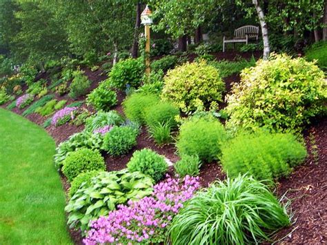 Best Ground Cover For East Tennessee - ground cover good