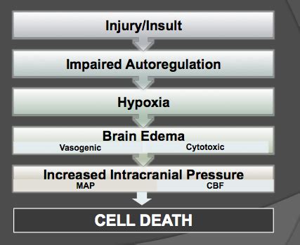 Determining Brain Death: Death By Neurological Criteria (DNC ...