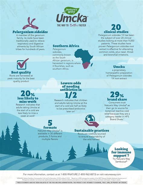 Sambucus and Umcka - Infographics — Travis Welk