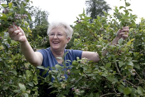 Mississippi's Pick-Your-Own Fruit and Veggie Farms