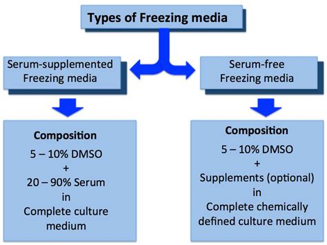 Preparation of Freezing Medium Containing DMSO and Serum - Laboratory Notes