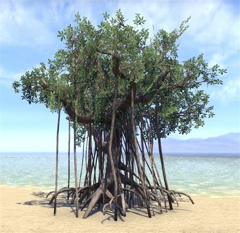 ESO Fashion | Tree, Young Mangrove (Elder Scrolls Online)