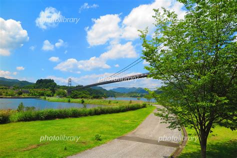 晴れの湖畔の風景 写真素材 [ 5290827 ] - フォトライブラリー photolibrary