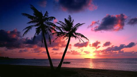 Gambar Di Tepi Pantai / Gambar Pemandangan Sunset | Harian Nusantara - Ryder Butlin