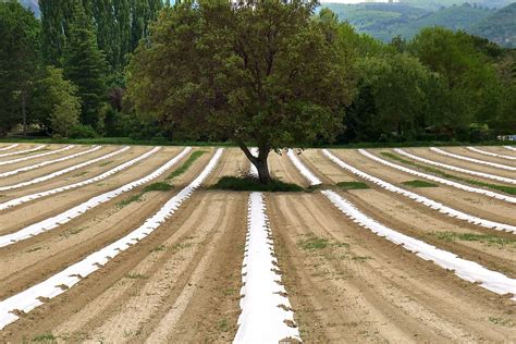 Agroecology: A Key Piece to Climate Adaptation & Mitigation? - Impakter