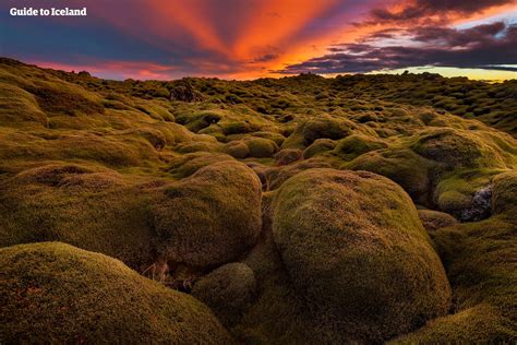 Best Attractions by the Ring Road of Iceland | Guide to Iceland