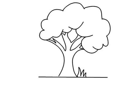 Easy Tree Drawings