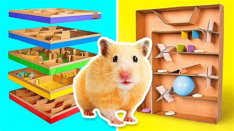 Coolest Crafts For Active Hamsters || DIY Mazes From Cardboard - YouTube