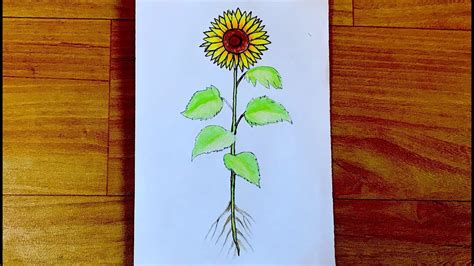 How to draw plant of a flower very easy simple flower plant drawing for beginners - YouTube