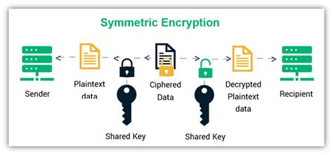 Public Key vs Private Key: How Do They Work? - InfoSec Insights