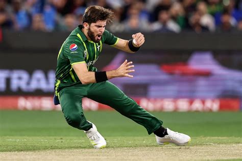 PAK Vs NZ: “Workforce Wants Help When We Lose”- Shaheen Afridi Hits Again At Ex-Pakistan ...