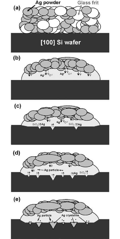 Schematic representation of the mechanism for Ag crystallite formation... | Download Scientific ...