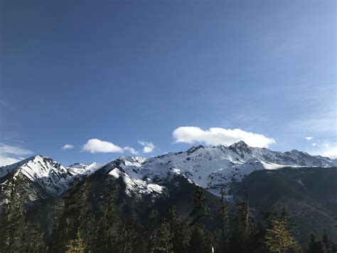 2024白马雪山观景台游玩攻略,...今晚赶到德钦，路上的景色...【去哪儿攻略】