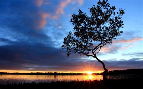 Paisaje hermoso atardecer en la orilla del río, puesta del sol, árboles, cielo, nubes Fondos de ...