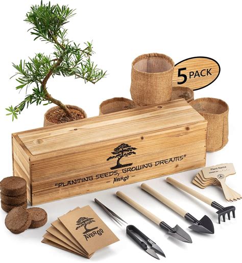 Amazon.com : Bonsai Tree Kit – 5X Unique Japanese Bonzai Trees | Complete Indoor Starter Kit for ...