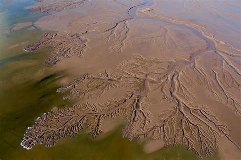 Collaboration for the Colorado River Delta - Raise the River