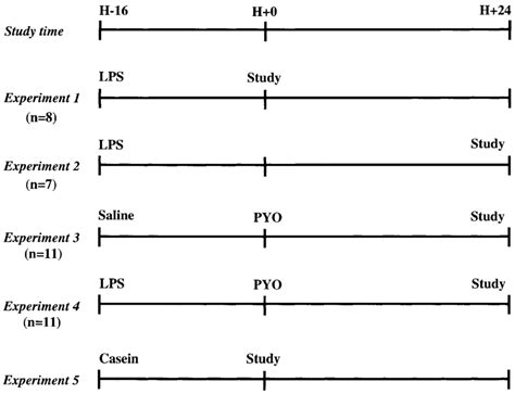 Experimental conditions. Acute lung injury was achieved by alveolar ...