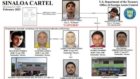 Sinaloa Cartel 'cornered' by the US: Members from Mexico and China are ...