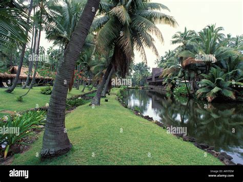 The grounds of the Coco Palms Resort, setting for Elvis Presley film "Blue Hawaii Stock Photo ...