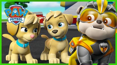 Mighty Pups Meet Ella and Tuck | PAW Patrol | Cartoons for Kids! - YouTube