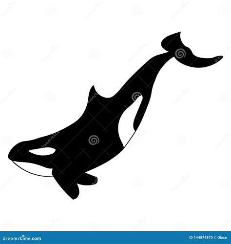 Orca Whale Silhouette. Vector Black and White Illustration Stock Vector - Illustration of mammal ...