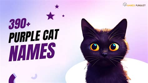 390+ Purple Cat Names [Find the Perfect Match]
