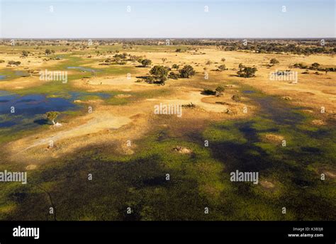 Freshwater marshes hi-res stock photography and images - Alamy