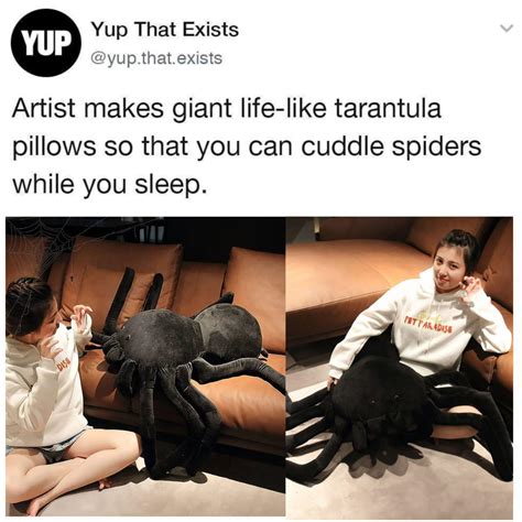 This is a tarantula pillow. | /r/madlads | Mad Lad / Madlad | Know Your Meme