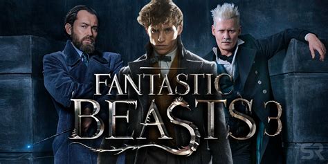 Fantastic Beasts 3: Release Date, Title, Story Details & More